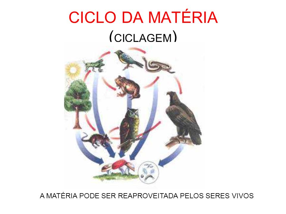 CICLO DA MATÉRIA (CICLAGEM)