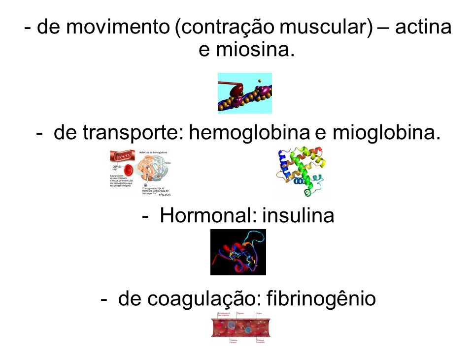 - de movimento (contração muscular) – actina e miosina.
