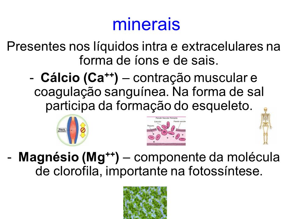 minerais Presentes nos líquidos intra e extracelulares na forma de íons e de sais.