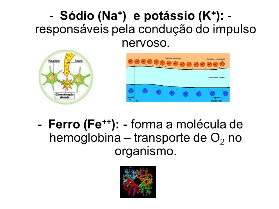 Sódio (Na+) e potássio (K+): - responsáveis pela condução do impulso nervoso.