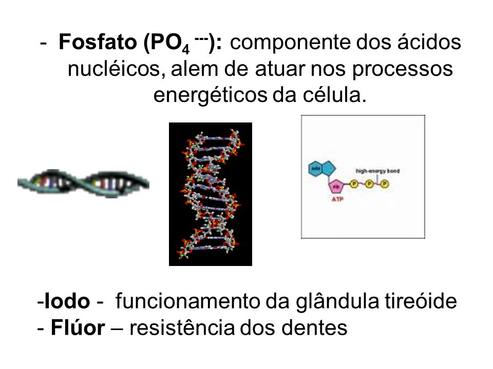 Fosfato (PO4 ---): componente dos ácidos nucléicos, alem de atuar nos processos energéticos da célula.