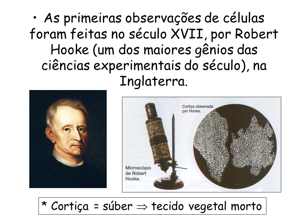 As primeiras observações de células foram feitas no século XVII, por Robert Hooke (um dos maiores gênios das ciências experimentais do século), na Inglaterra.
