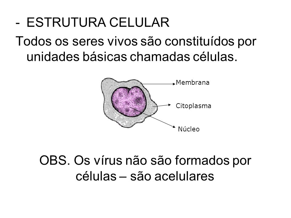 OBS. Os vírus não são formados por células – são acelulares