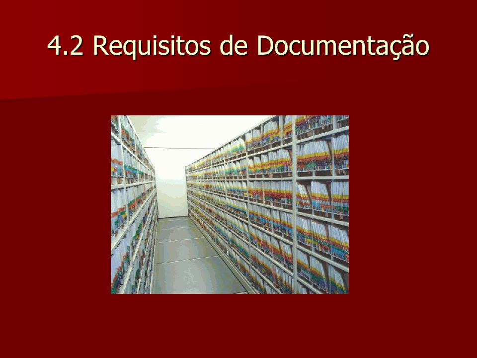 4.2 Requisitos de Documentação