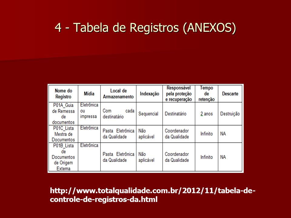 4 - Tabela de Registros (ANEXOS)