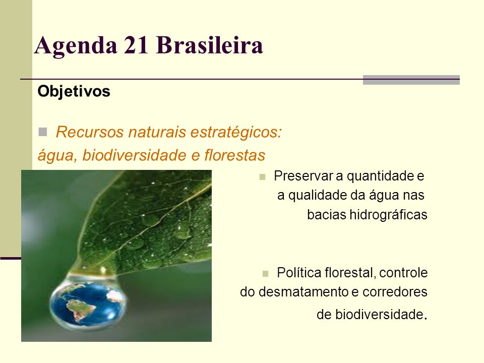 Agenda 21 Brasileira Objetivos Recursos naturais estratégicos: