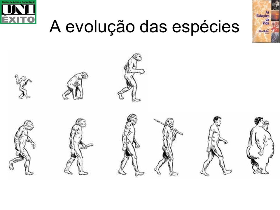 A evolução das espécies