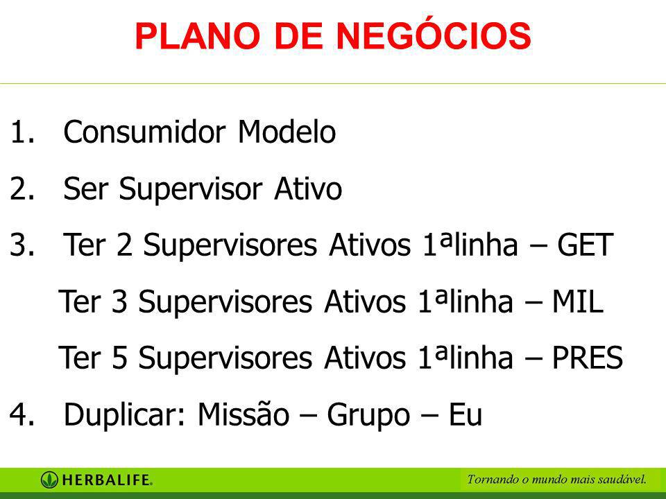 PLANO DE NEGÓCIOS Consumidor Modelo Ser Supervisor Ativo