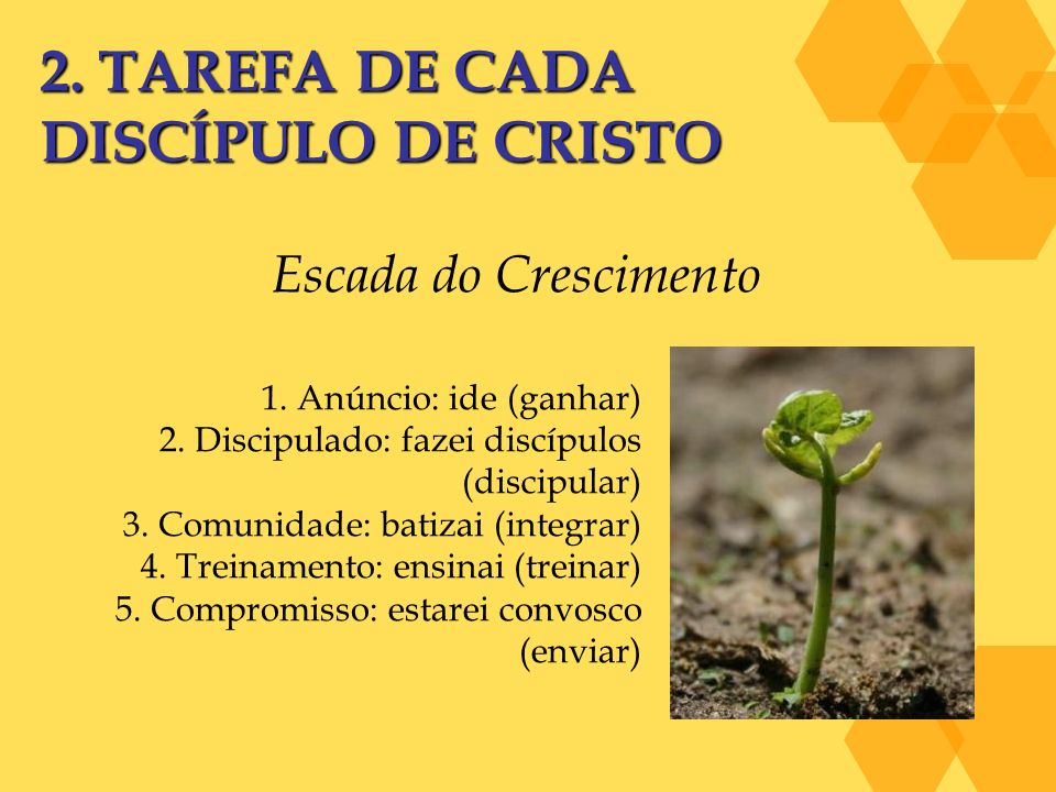 2. TAREFA DE CADA DISCÍPULO DE CRISTO Escada do Crescimento