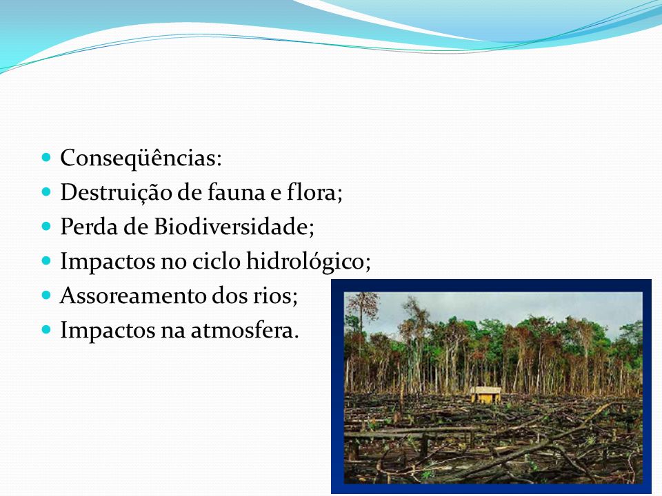 Conseqüências: Destruição de fauna e flora; Perda de Biodiversidade; Impactos no ciclo hidrológico;