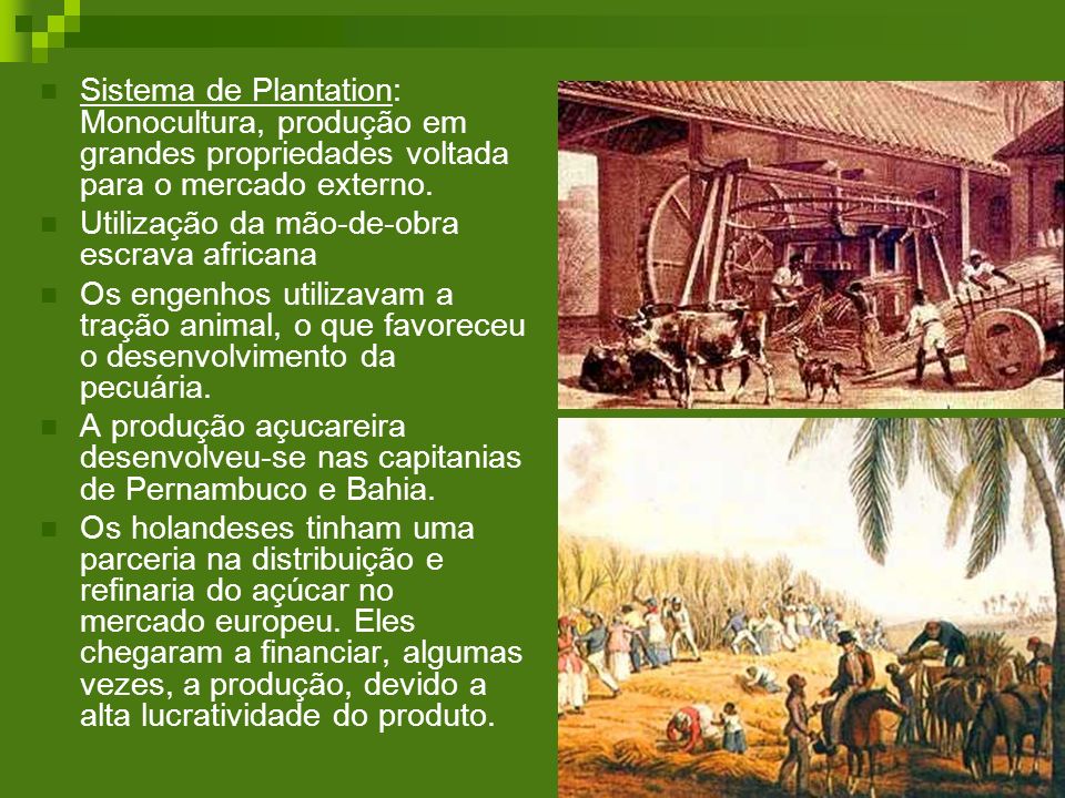 Sistema de Plantation: Monocultura, produção em grandes propriedades voltada para o mercado externo.