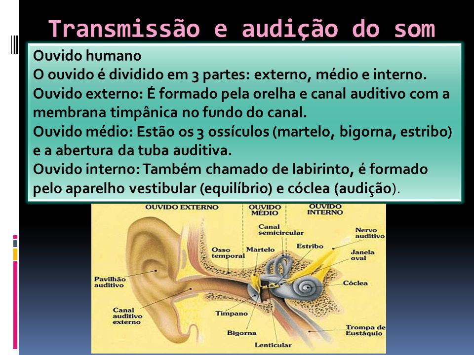 Transmissão e audição do som