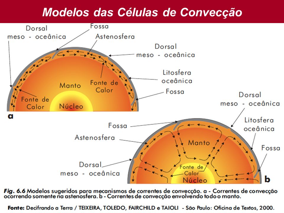 Modelos das Células de Convecção