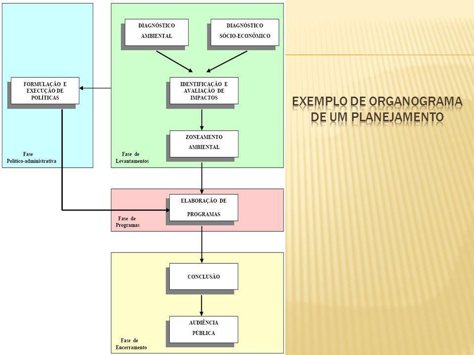 Exemplo de Organograma de um planejamento