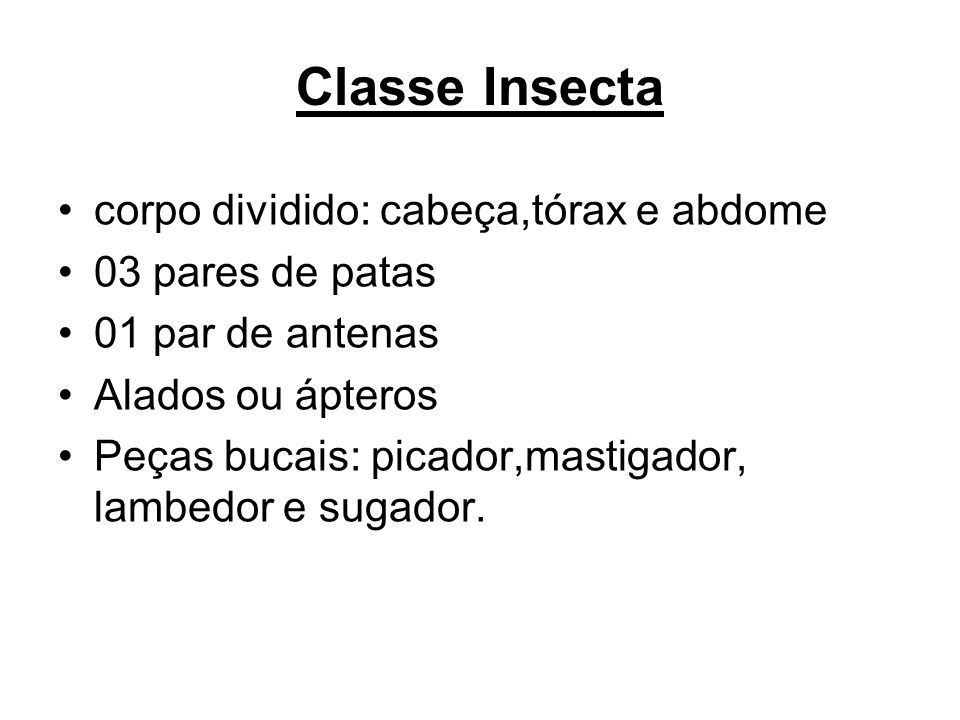 Classe Insecta corpo dividido: cabeça,tórax e abdome 03 pares de patas