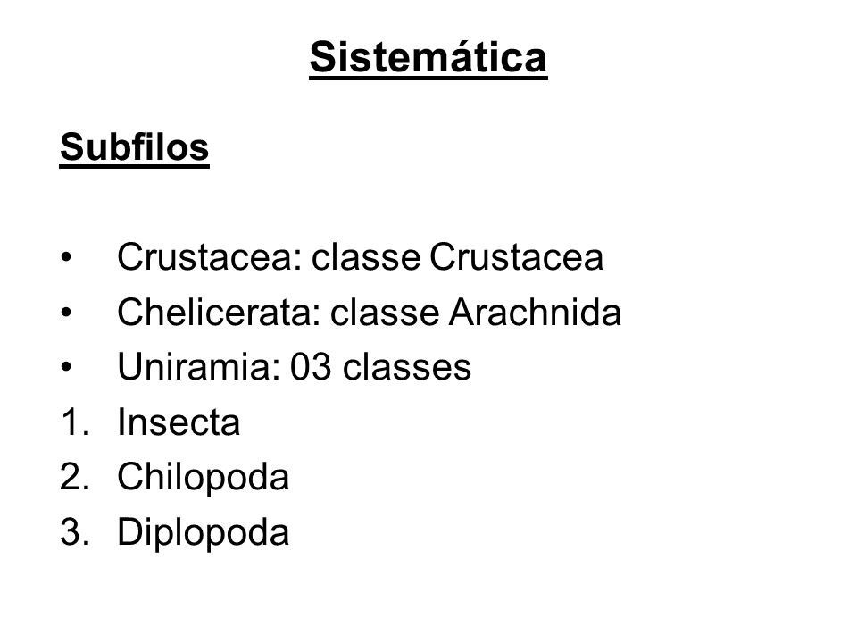 Sistemática Subfilos Crustacea: classe Crustacea