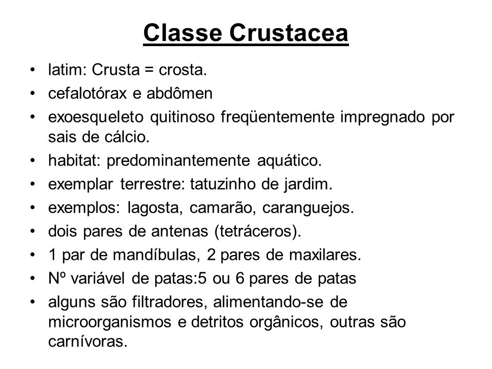 Classe Crustacea latim: Crusta = crosta. cefalotórax e abdômen