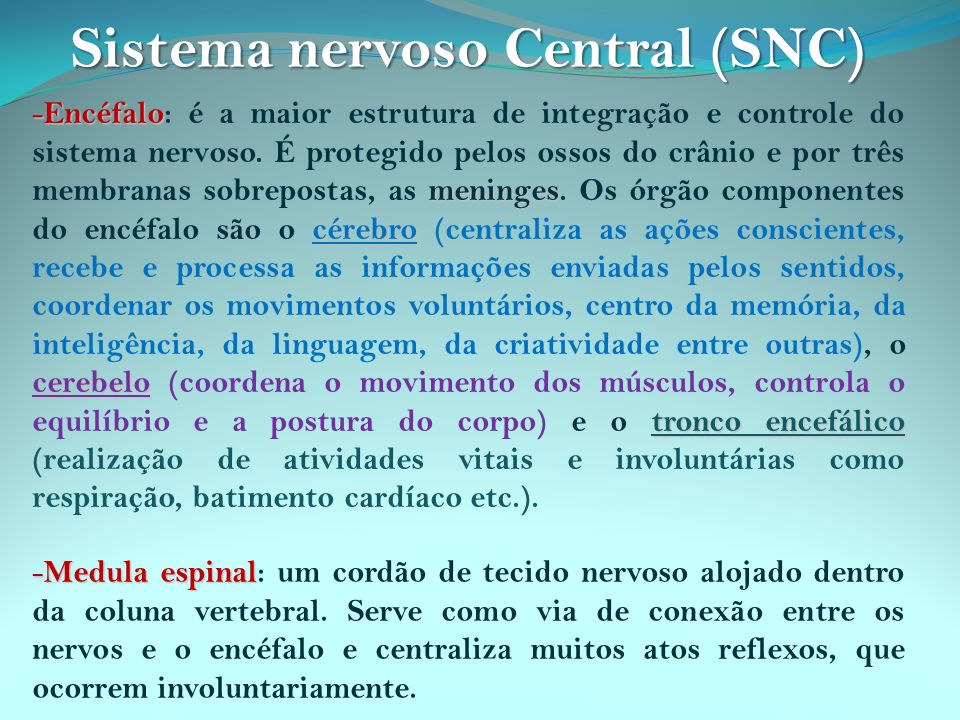 Sistema nervoso Central (SNC)