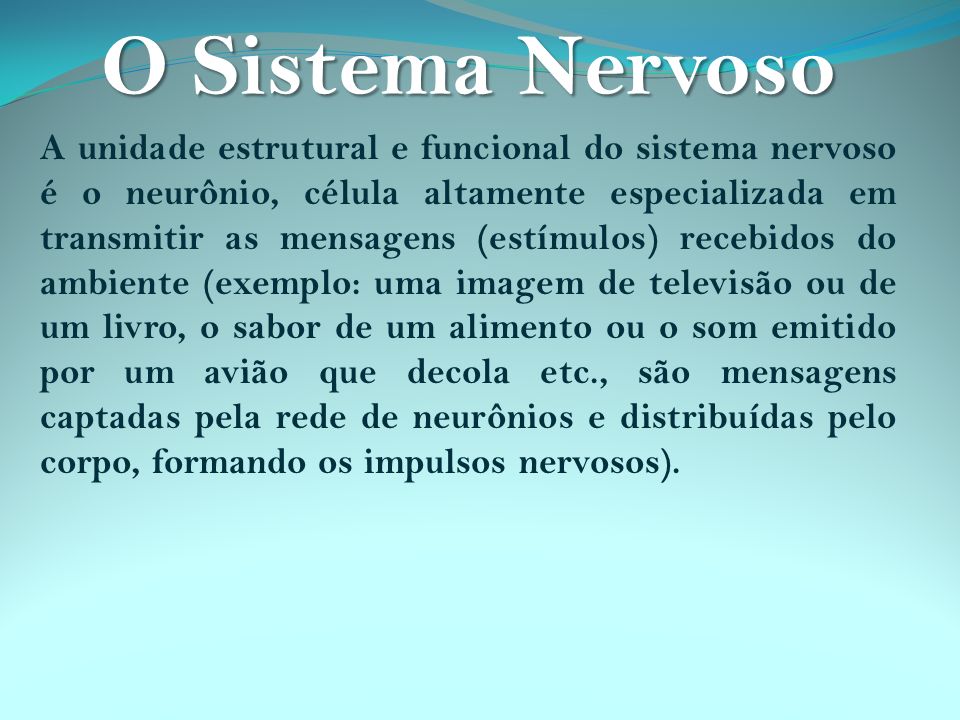 O Sistema Nervoso