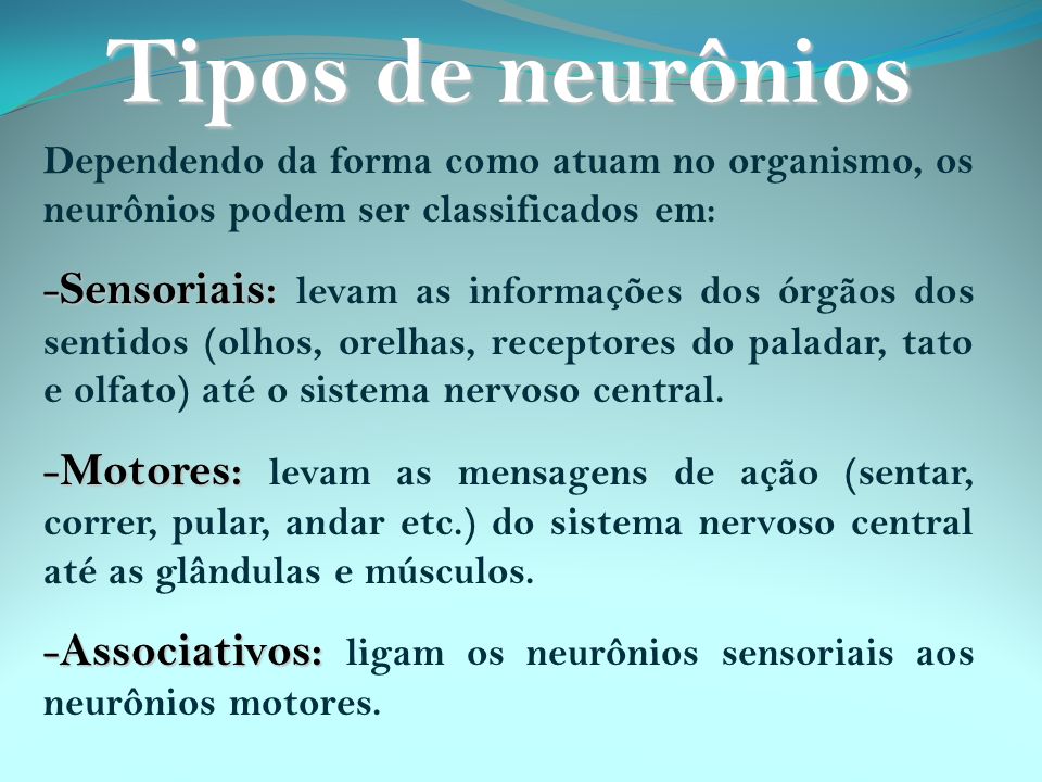 Tipos de neurônios Dependendo da forma como atuam no organismo, os neurônios podem ser classificados em: