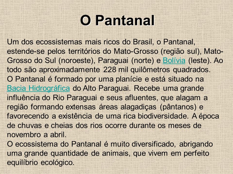 O Pantanal