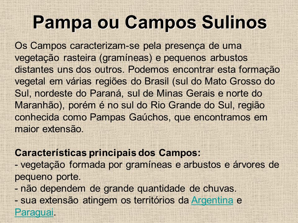 Pampa ou Campos Sulinos