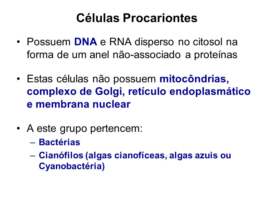Células Procariontes Possuem DNA e RNA disperso no citosol na forma de um anel não-associado a proteínas.