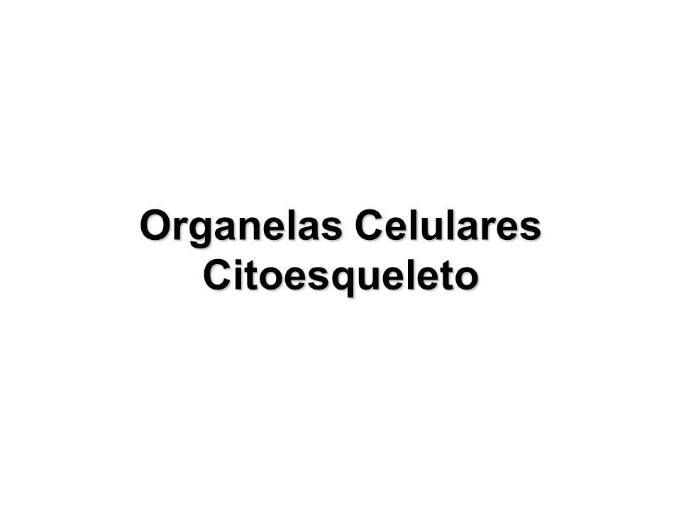 Organelas Celulares Citoesqueleto