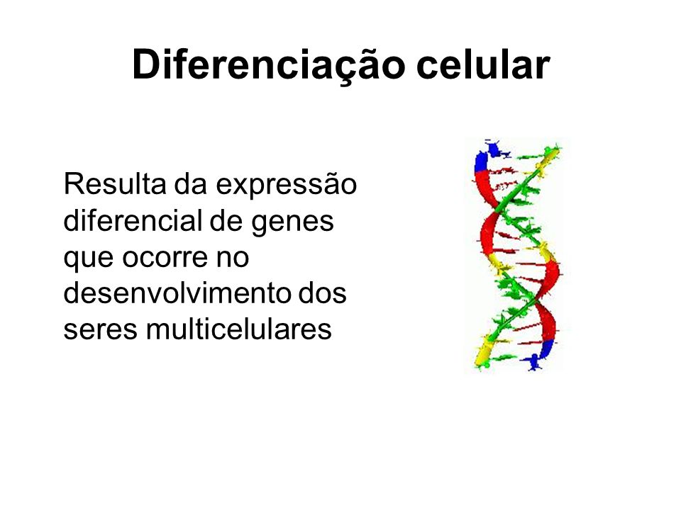 Diferenciação celular