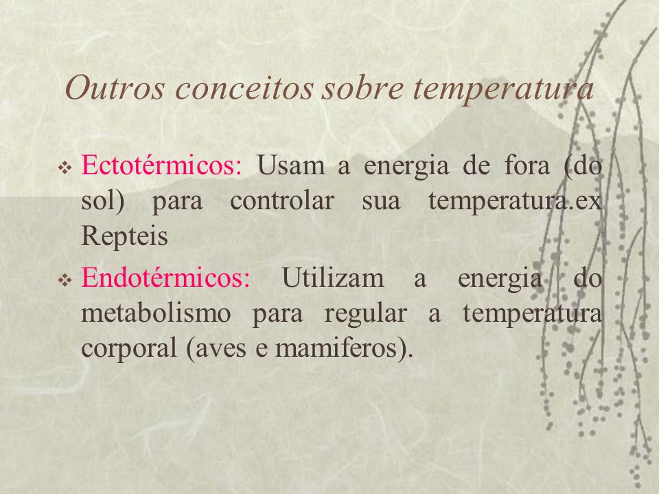 Outros conceitos sobre temperatura