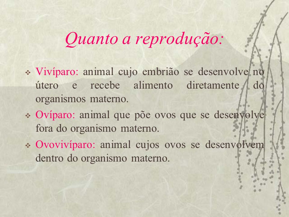 Quanto a reprodução: Vivíparo: animal cujo embrião se desenvolve no útero e recebe alimento diretamente do organismos materno.