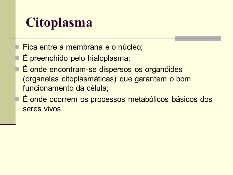 Citoplasma Fica entre a membrana e o núcleo;