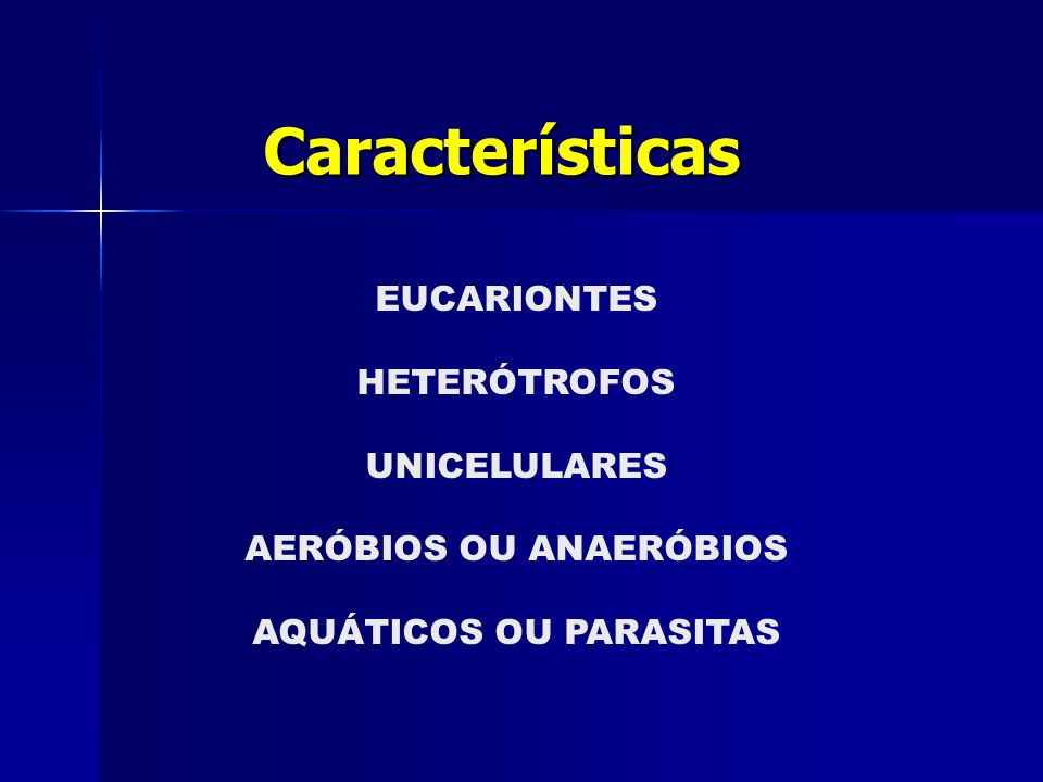 Características EUCARIONTES HETERÓTROFOS UNICELULARES