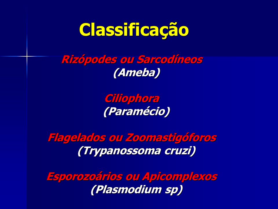 Classificação Rizópodes ou Sarcodíneos (Ameba) Ciliophora (Paramécio)