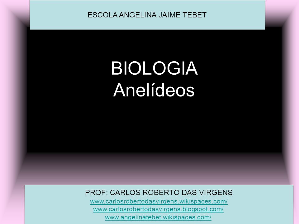 BIOLOGIA Anelídeos ESCOLA ANGELINA JAIME TEBET