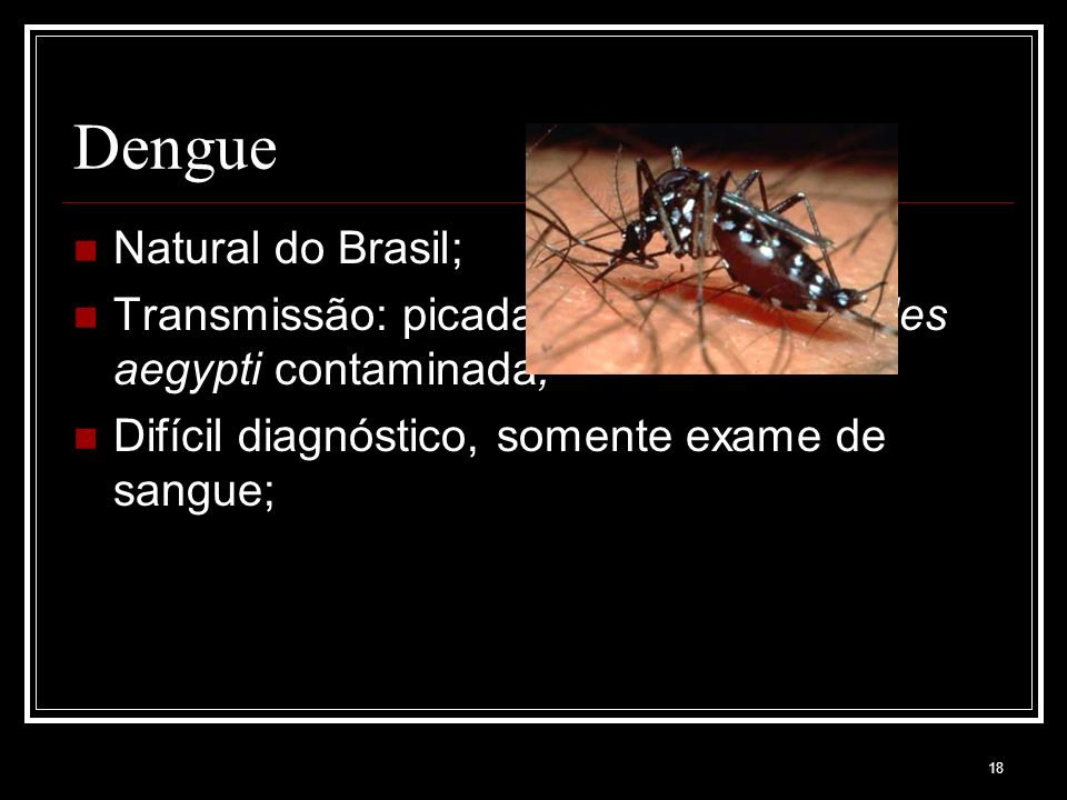 Dengue Natural do Brasil;