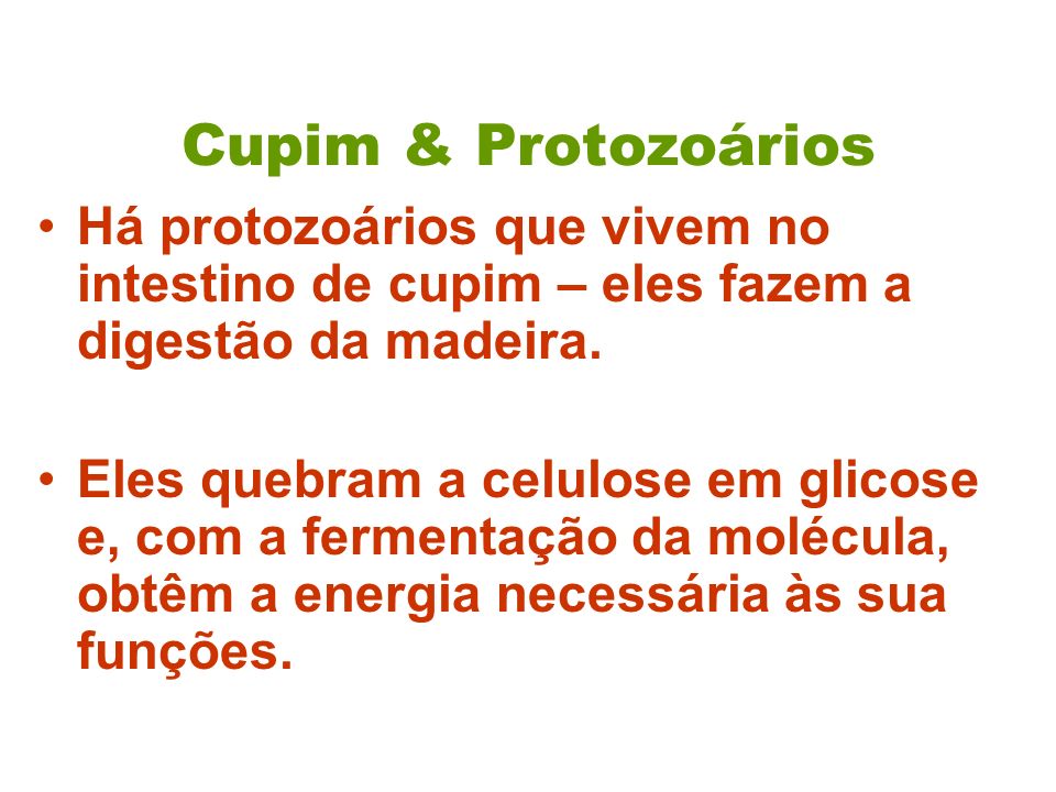 Cupim & Protozoários Há protozoários que vivem no intestino de cupim – eles fazem a digestão da madeira.