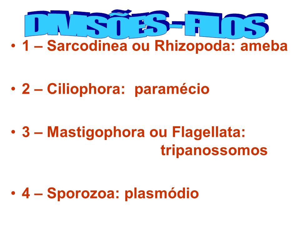 DIVISÕES - FILOS 1 – Sarcodinea ou Rhizopoda: ameba. 2 – Ciliophora: paramécio. 3 – Mastigophora ou Flagellata: tripanossomos.
