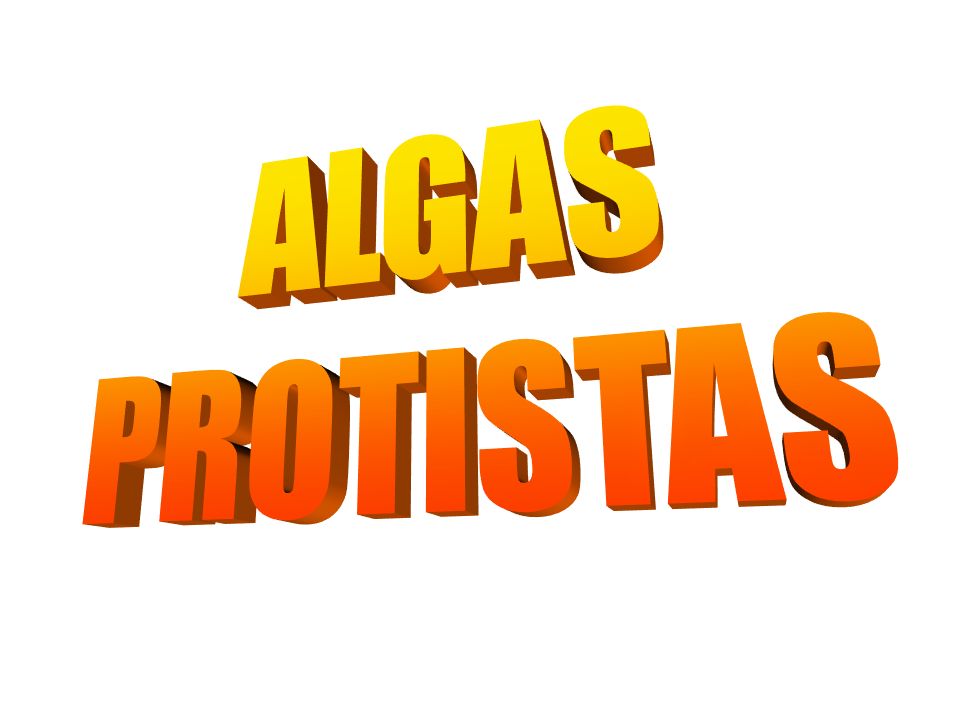 ALGAS PROTISTAS