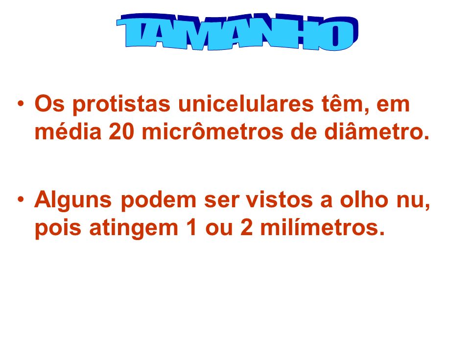 TAMANHO Os protistas unicelulares têm, em média 20 micrômetros de diâmetro.