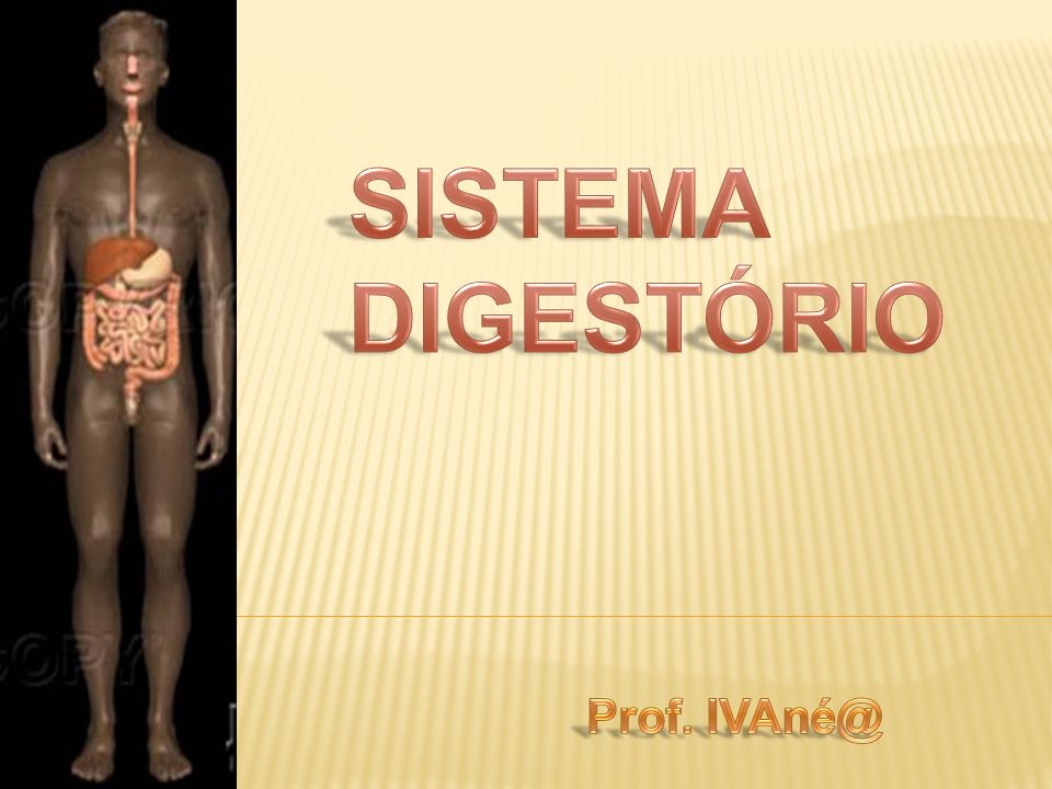SISTEMA DIGESTÓRIO Prof.