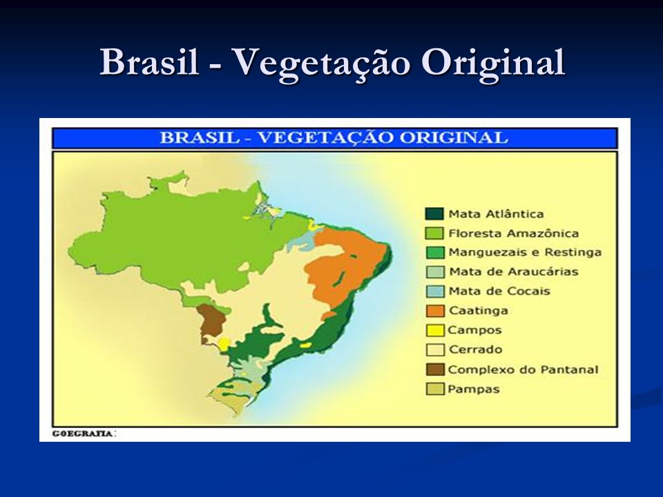 Brasil - Vegetação Original