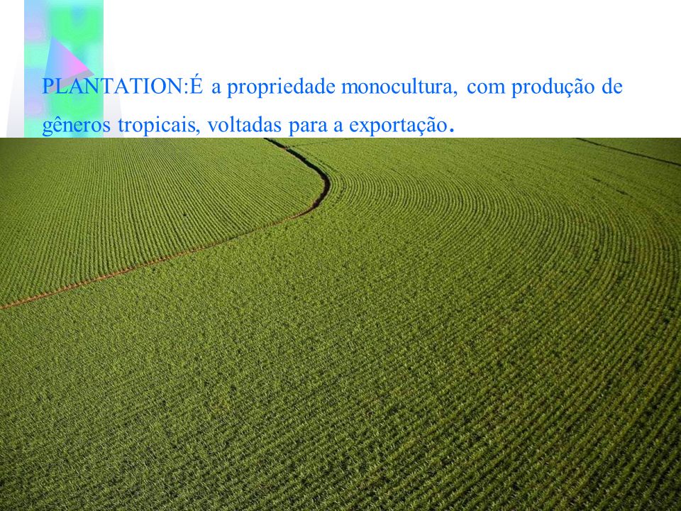 PLANTATION:É a propriedade monocultura, com produção de gêneros tropicais, voltadas para a exportação.
