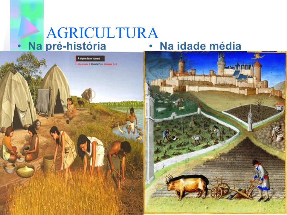 AGRICULTURA Na pré-história Na idade média