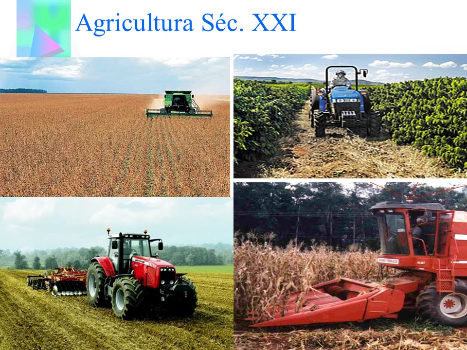Agricultura Séc. XXI