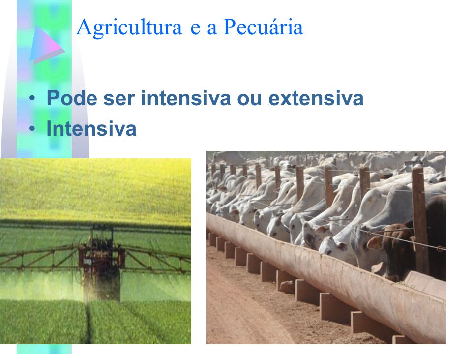 Agricultura e a Pecuária