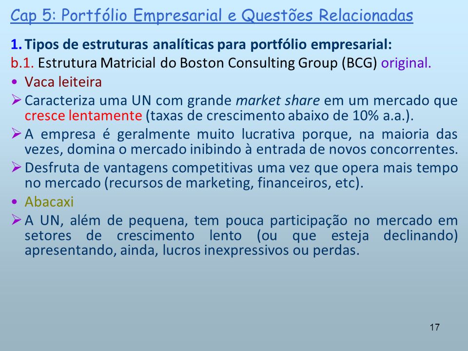 Cap 5: Portfólio Empresarial e Questões Relacionadas