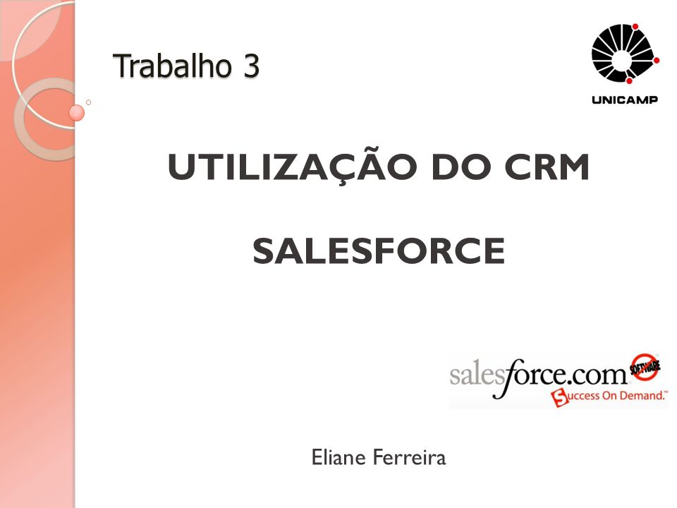 UTILIZAÇÃO DO CRM SALESFORCE Eliane Ferreira
