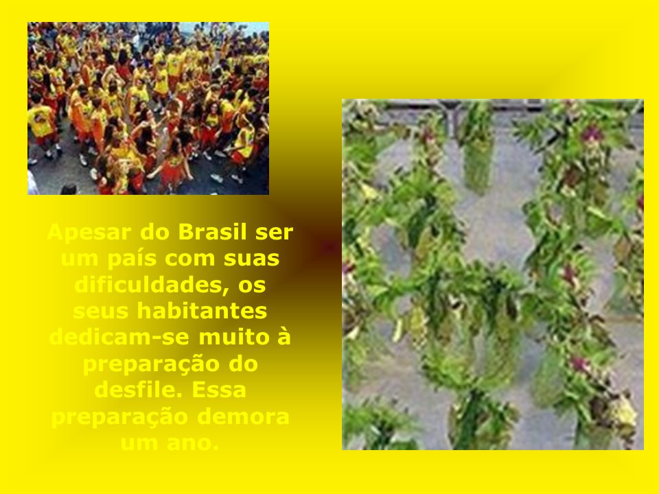 Apesar do Brasil ser um país com suas dificuldades, os seus habitantes dedicam-se muito à preparação do desfile.