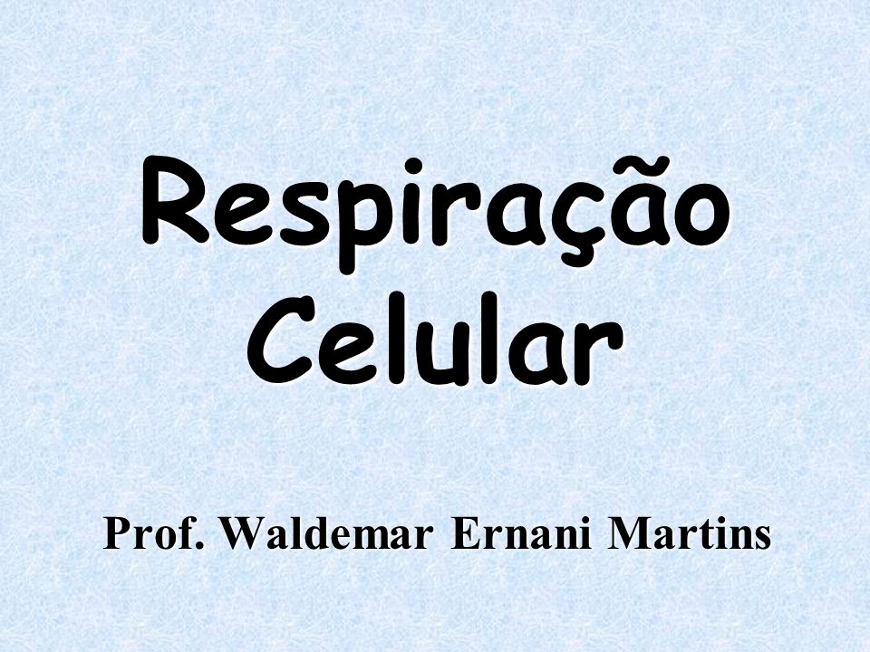 Prof. Waldemar Ernani Martins